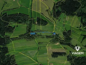 Prodej lesa, Svébohov, 4911 m2