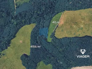 Prodej podílu lesa, Životice u Nového Jičína, 2098 m2