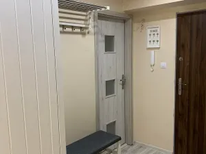 Prodej bytu 2+1, Frýdek-Místek, Janáčkova, 60 m2