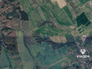 Prodej lesa, Jalubí, 2603 m2