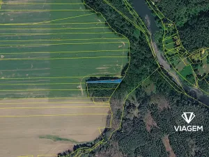 Prodej lesa, Bechyně, 800 m2