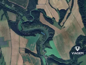 Prodej lesa, Radkov, 2860 m2