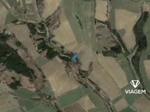 Prodej lesa, Buřenice, 5732 m2