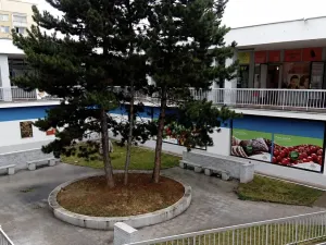 Pronájem obchodního prostoru, Brno, 320 m2