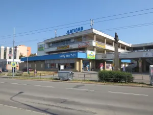 Pronájem obchodního prostoru, Brno, 711 m2