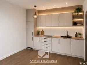 Prodej vícegeneračního domu, Brodek u Konice, 250 m2