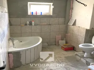 Prodej vícegeneračního domu, Brodek u Konice, 250 m2