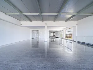 Pronájem obchodního prostoru, Sukorady, 330 m2