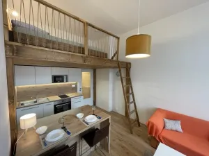 Pronájem bytu 1+kk, Ostrava - Přívoz, Palackého, 27 m2