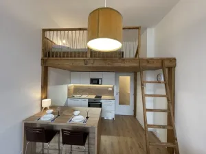 Pronájem bytu 1+kk, Ostrava - Přívoz, Palackého, 27 m2