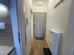 Pronájem bytu 1+kk, Ostrava - Přívoz, Palackého, 27 m2
