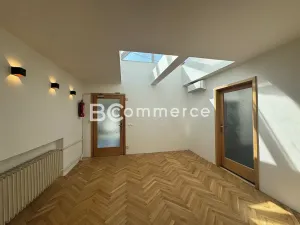 Pronájem kanceláře, Brno, 186 m2