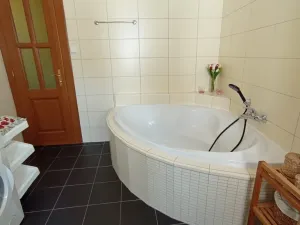 Pronájem bytu 2+1, České Budějovice - České Budějovice 1, Krajinská, 92 m2