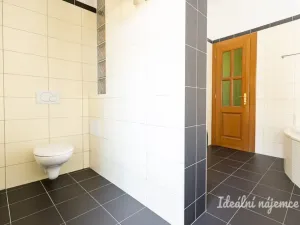 Pronájem bytu 2+1, České Budějovice - České Budějovice 1, Krajinská, 92 m2