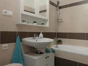 Pronájem bytu 3+kk, České Budějovice - České Budějovice 3, Riegrova, 70 m2