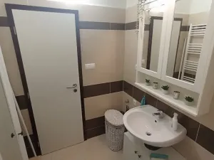 Pronájem bytu 3+kk, České Budějovice - České Budějovice 3, Riegrova, 70 m2