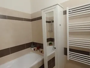 Pronájem bytu 3+kk, České Budějovice - České Budějovice 3, Riegrova, 70 m2