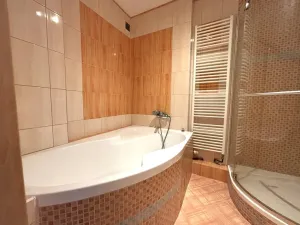 Pronájem bytu 3+kk, Plzeň - Jižní Předměstí, Vrchlického, 74 m2