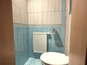 Pronájem bytu 3+kk, Plzeň - Jižní Předměstí, Vrchlického, 74 m2