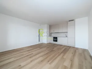 Pronájem bytu 2+kk, Praha - Kamýk, Hodkovická, 52 m2