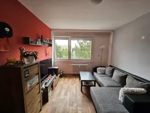 Prodej bytu 2+1, Třebíč - Borovina, Řípovská, 54 m2