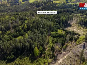 Prodej lesa, Železný Brod, 11203 m2