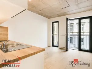 Pronájem bytu 1+kk, Brno - Zábrdovice, Bratislavská, 24 m2
