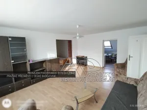 Pronájem bytu 2+1, České Budějovice, 70 m2