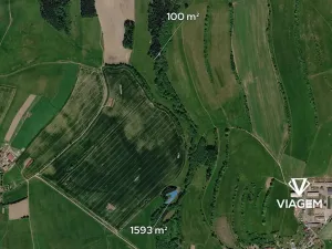 Prodej lesa, Nové Město na Moravě, 1693 m2