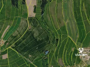 Prodej lesa, Nové Město na Moravě, 1693 m2