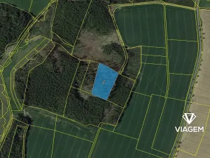 Prodej podílu lesa, Stříbrné Hory, 1425 m2