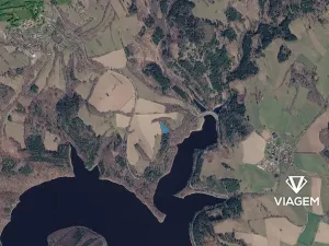 Prodej lesa, Chlum-Korouhvice, 3059 m2