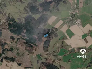 Prodej lesa, Řečice, 5650 m2