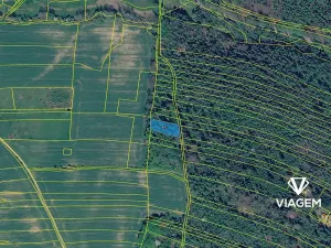 Prodej lesa, Horní Lhota, 1346 m2