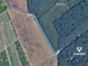 Prodej podílu pole, Valtice, 354 m2