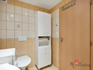 Prodej atypického bytu, Jihlava, Březinovy sady, 48 m2
