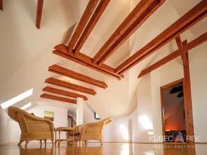 Prodej chalupy, Suchdol nad Lužnicí, Žižkova, 300 m2