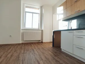 Pronájem bytu 1+1, Šumperk, Žerotínova, 45 m2