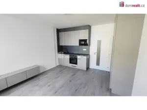 Pronájem bytu 1+kk, Praha - Libeň, Nad Kolčavkou, 30 m2