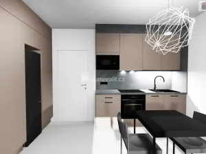 Pronájem bytu 1+kk, Praha - Libeň, Nad Kolčavkou, 30 m2