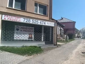 Pronájem obchodního prostoru, Příbram - Příbram III, Milínská, 103 m2