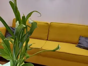 Prodej bytu 2+kk, Pula, Chorvatsko, 31 m2