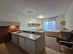 Pronájem bytu 1+kk, Brno, 56 m2
