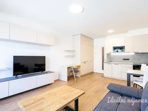 Pronájem bytu 1+kk, Praha, Poděbradská, 35 m2