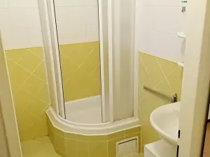 Pronájem bytu 1+1, Praha - Vinohrady, Řipská, 46 m2