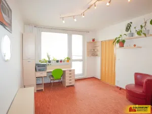 Prodej bytu 1+1, Brno, Božetěchova, 40 m2