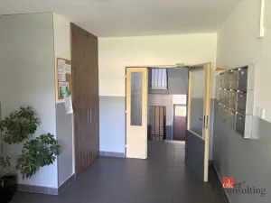 Pronájem bytu 1+1, Cvikov - Cvikov II, Sídliště, 38 m2