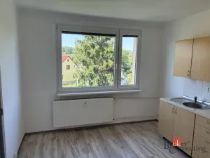 Pronájem bytu 1+1, Cvikov - Cvikov II, Sídliště, 38 m2