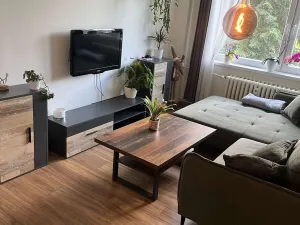 Pronájem bytu 2+kk, Třinec, Seifertova, 50 m2