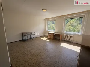 Pronájem bytu 1+kk, Ústí nad Labem - Všebořice, Spartakiádní, 32 m2